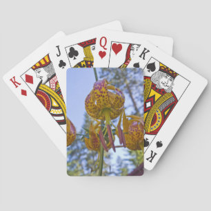 Humboldt Lily Spielkarten