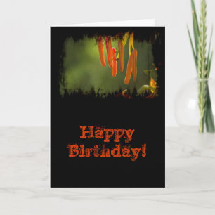 Humboldt Lily Stamens Birthday Karte