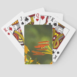 Humboldt Lily Stamens Spielkarten