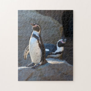 Humboldt Penguin Jigsaw-Puzzle Puzzle