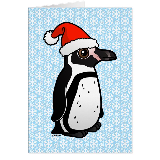 Humboldt Penguin Santa (Vorne)