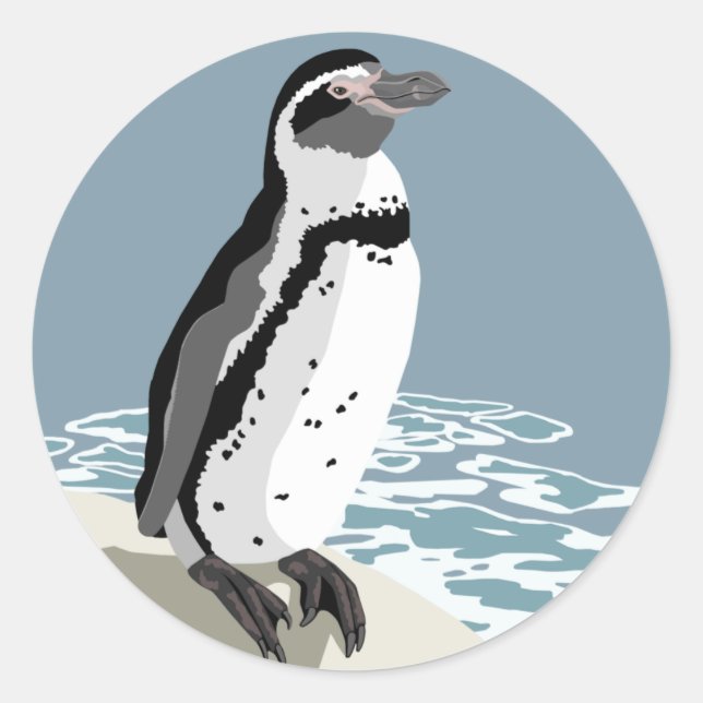 Humboldt Penguin Stickers (Vorderseite)