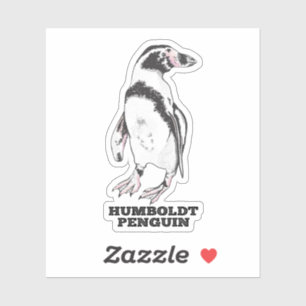 Humboldt-Pinguin Aufkleber