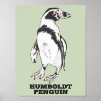 Humboldt-Pinguin