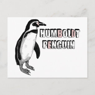 Humboldt-Pinguin Postkarte