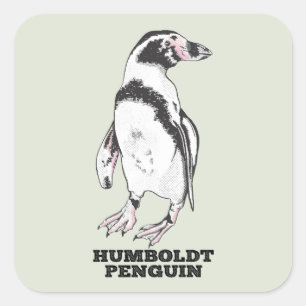 Humboldt-Pinguin Quadratischer Aufkleber
