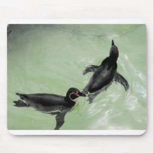 Humboldt-Pinguine Mousepad