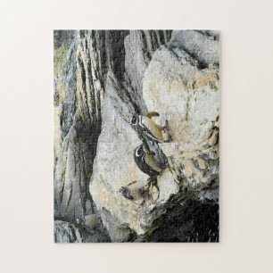 Humboldt-Pinguine. Puzzle