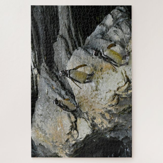 Humboldt-Pinguine. Puzzle (Vertikal)