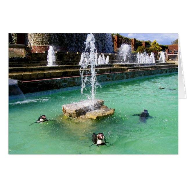 Humboldt-Pinguine und -Brunnen (Vorderseite (Horizontal))