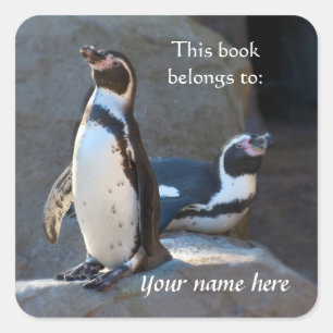 Humboldt Pinguins "Dieses Buch gehört" Sticker