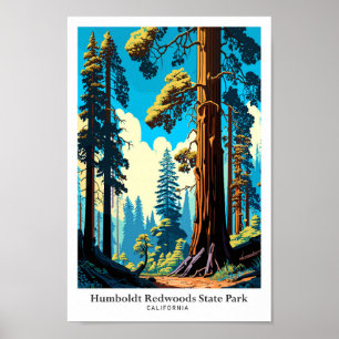 Humboldt Redwoods Staat Park Illustration Poster