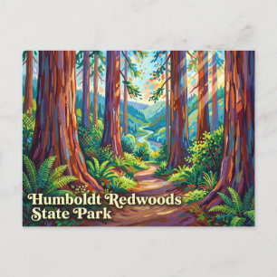 Humboldt Redwoods State Park Kalifornien Postkarte