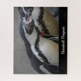 Humbolzen Penguin im Zoo von Drusillas in East Sus Puzzle
