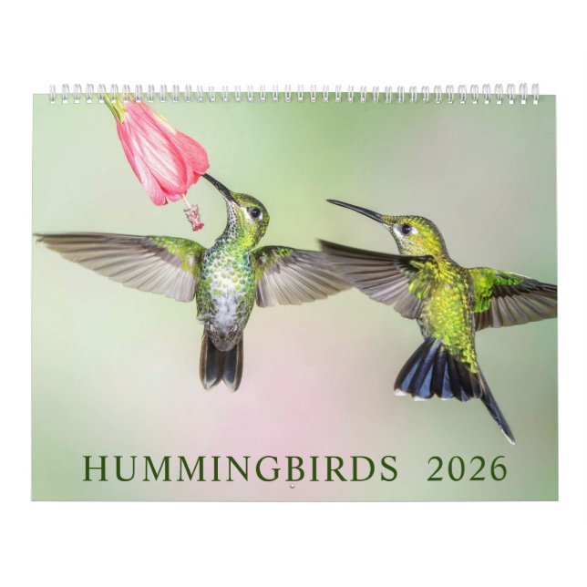 Humingbirds Fotografy 2023 Kalender (Titelbild)