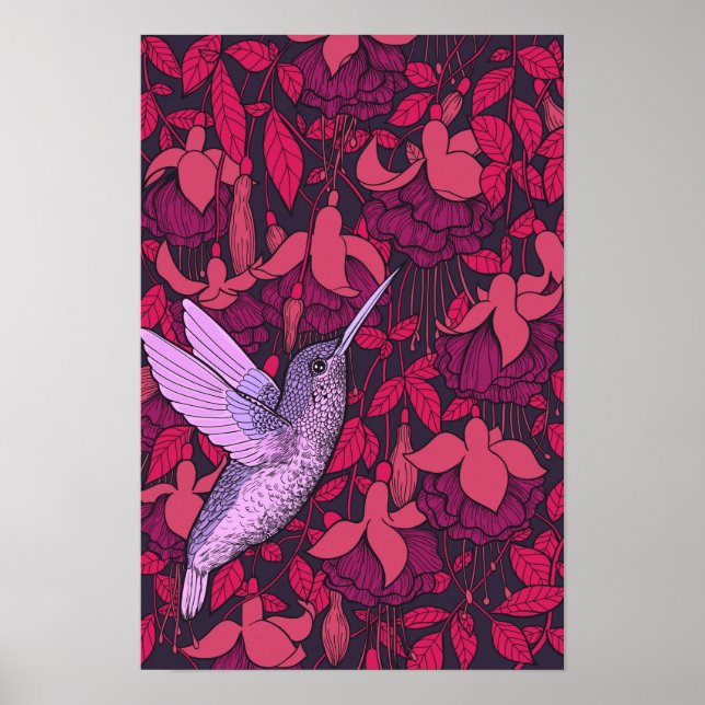 Humingvogel und Fuchsienviolett Poster (Vorne)