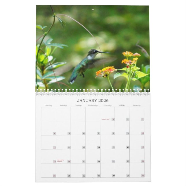 Humm mit mir! kalender (Jan 2026)