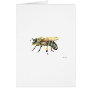 Hummel