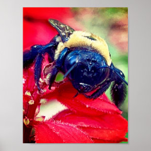 Hummel auf Blume Fotografie Wanddekoration Print Poster
