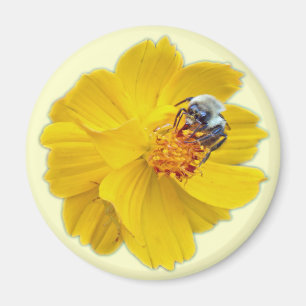 Hummel auf dem Kosmos Magnet