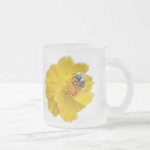 Hummel auf dem Kosmos Mattglastasse