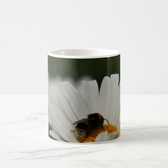 Hummel auf der Tasse der Blume (Mittel)