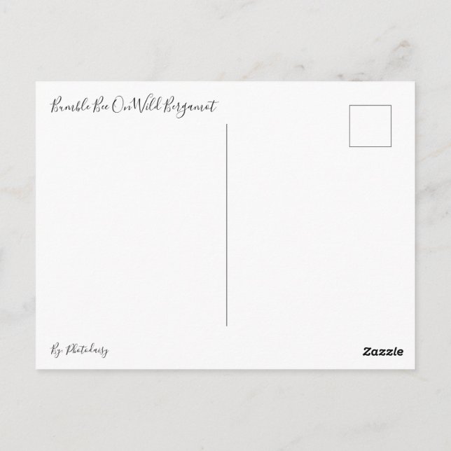 Hummel auf der Wilden Bergamot Postkarte (Rückseite)
