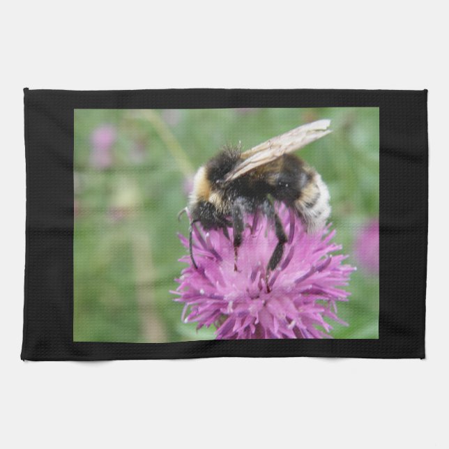 Hummel auf einem Handtuch der Thistle Küche (Horizontal)