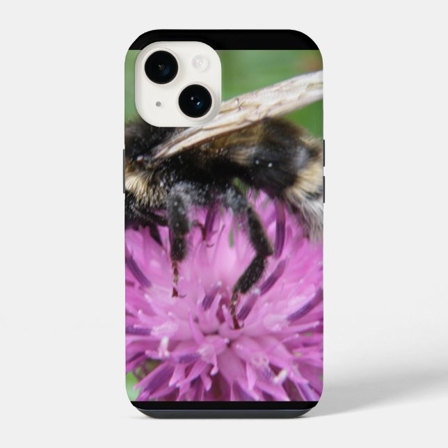 Hummel auf einer Distel iPhone Hülle (Rückseite)