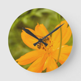 Hummel auf einer Schwefel-Kosmosblume Runde Wanduhr