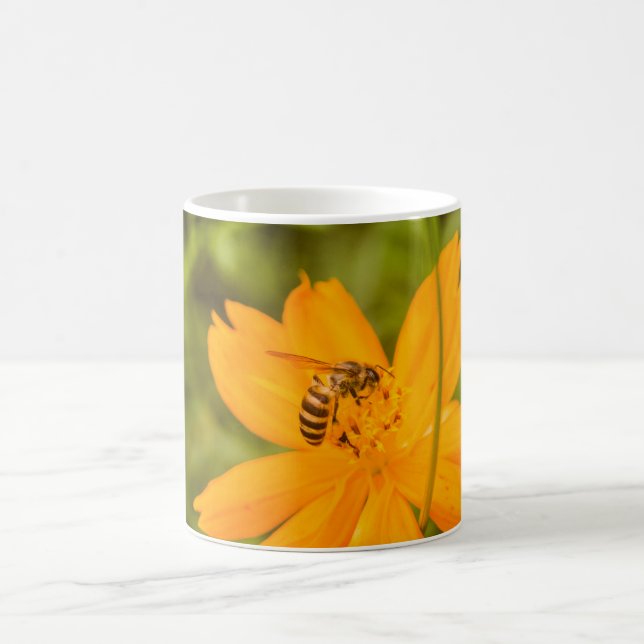 Hummel auf einer Schwefel-Schmuckkörbchen Kaffeetasse (Mittel)