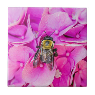 Hummel auf Hydrangea Fliese