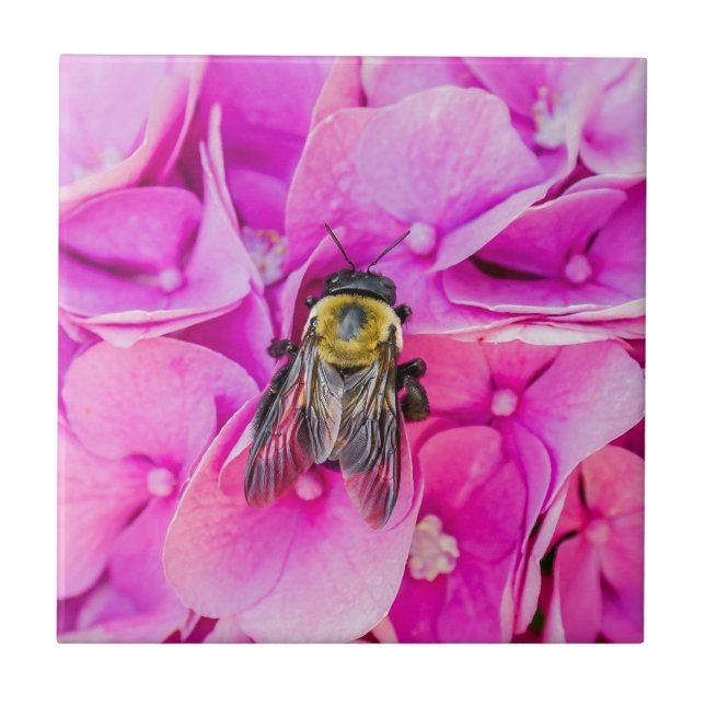 Hummel auf Hydrangea Fliese (Vorderseite)