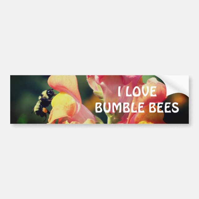 Hummel auf Löwenmäulchen-Blume  Autoaufkleber (Vorne)