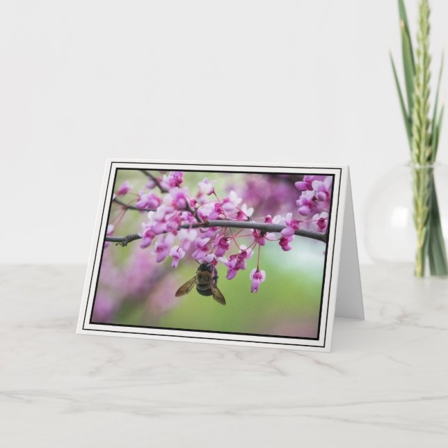 Hummel auf Redbud-Blüten Karte (Vorderseite)