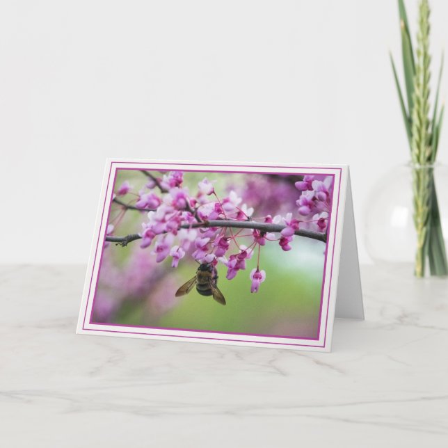 Hummel auf Redbud-Blüten Karte (Vorderseite)
