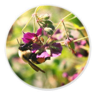 Hummel auf rosa Blume Keramikknauf