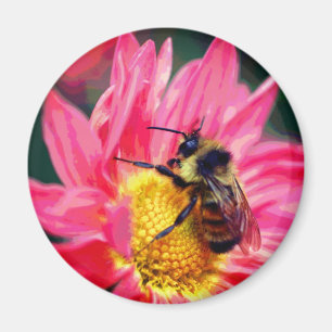 Hummel auf rosa Gänseblümchen-Blumenkunst Magnet