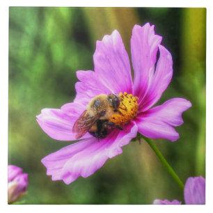 Hummel auf rosa Kosmos Fliese