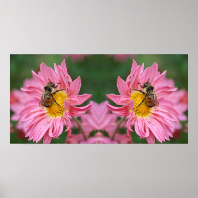 Hummel Bee On Pink Daisy Blume Mirror Abstrakt Poster (Vorne)