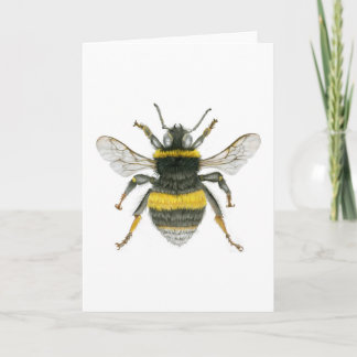 Hummel-Bienen-Gruß-Karte Karte