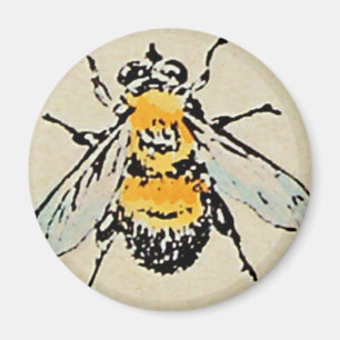 Hummel-Bienen-Magnet Magnet
