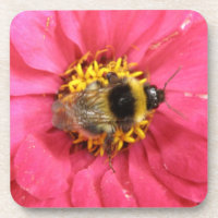 Hummel-Cork-Untersetzer