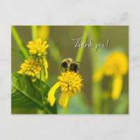 Hummel Danke, Postcard