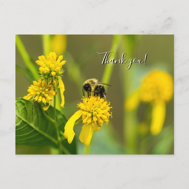 Hummel Danke, Postcard Postkarte (Vorderseite)