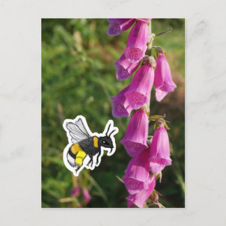 Hummel (Farbe) Postkarte