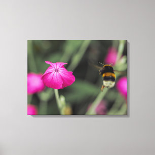 Hummel fliegt auf eine Blume zu Botanisches Foto Leinwanddruck