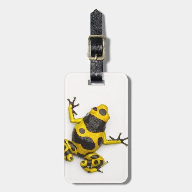 Hummel-Gift-Pfeil-Frosch Gepäckanhänger (Vorderseite vertikal)