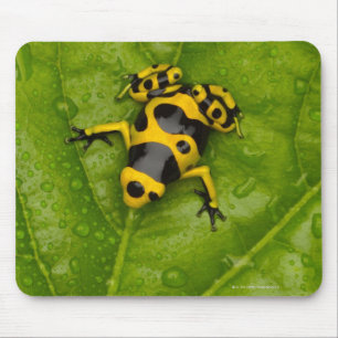 Hummel-Gift-Pfeil-Frosch Mousepad