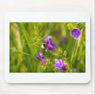 Hummel in Blüte Mousepad